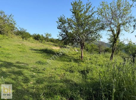 Zonguldak'ta 509 M² İmarlı Asfalt Cepheli Kelepir Arsa