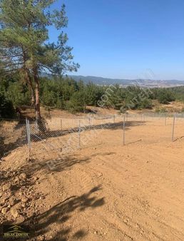 Yenişehir Marmaracıkta Hisselli Tapulu 254 M2 Hobi Bahçeleri