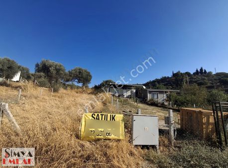 Simya Emlak'tan Torbalı Saipler De 252 M2 Mirastan Bölme