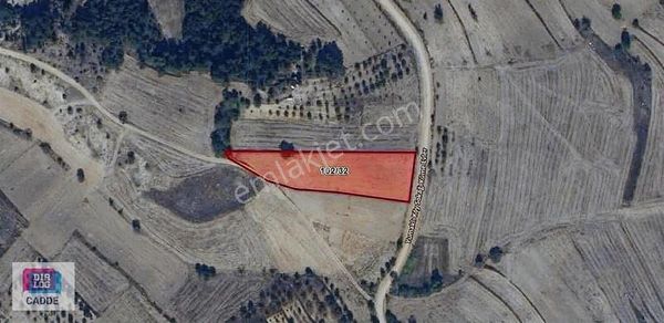 Bilecik Yenipazar'da Fırsat Arsa !