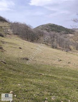 İznik İhsanıye Köyün Girişinde Resmi Yola Cephe Tarla Satılık
