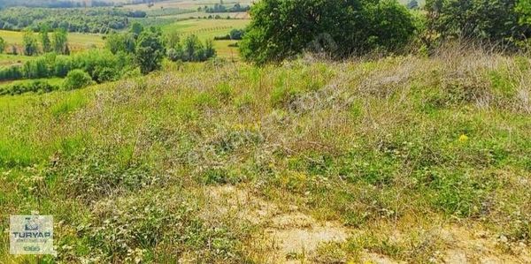 Turyap Körfez Temsilciliği'den Ahmethacılar'da Satılık Tarla