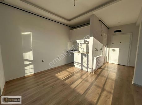 Tekirdağ Süleymanpaşa Ortacamii Mah 1+1 Kiralık Daire