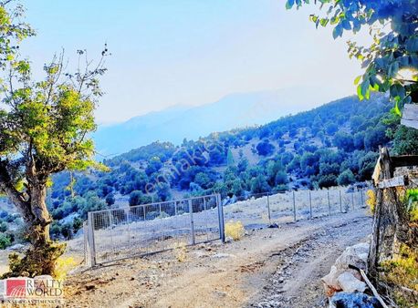 Antalya 42 Km. Uzaklikta Satilik 7053 M2 Tarla