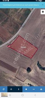 Müminli'de Tek Tapu 5207 M², Asfalt Kenarı, 180 Adet Zeytinli.