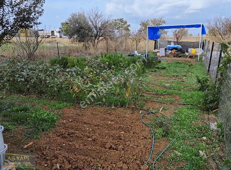 Manisa Şehzadeler Şirinköyde 213 M2 Arsa Tapulu Hobi Bahçesi