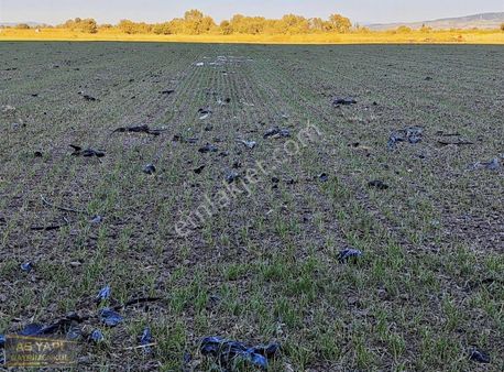 Manisa Şehzadeler Yukarıçobanisa Turgutlu Asfaltına 2.parsel