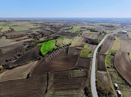 Tekirdağ Kapaklı'da 12 Dönüm Müstakil Tapulu Satılık Tarla