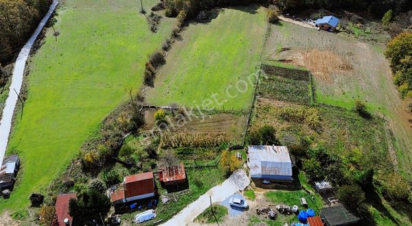 Tıny House Bungalow Tarım İçin Eşsiz Fırsat! Demirköyde