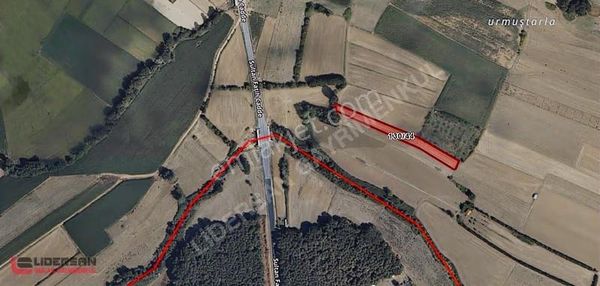 Satılık Çatalca Karacaköy'de 2.835 M² Tek Tapu Tarla