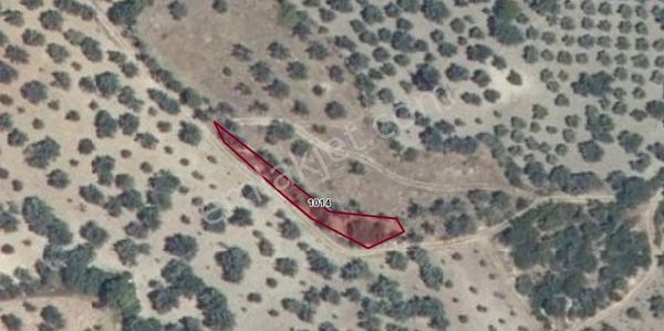 Manisa Soma Müstakil 500 M2 Tarla