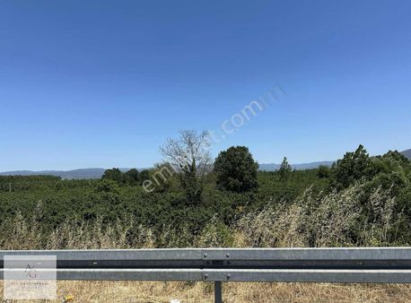 Ata Gayrimenkul | Sinirci Düzce Gişeleri Yakın Satılık Parseller