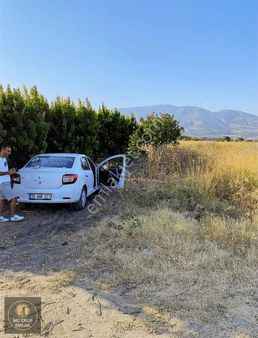 Mc Grup'tan Aşağı Kızılca Ovada Şeftali Bahçesi