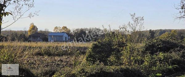 Kaymak Emlaktan Resmi Yolu Olan Satılık Arazi