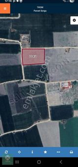 Yonca Gyo Dan Kırkağaç Tevfikiye Mah. Satılık Tarla