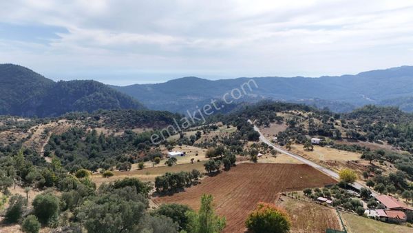 Muğla Menteşe Zeytinköyde 3058 M² Satılık Tarla