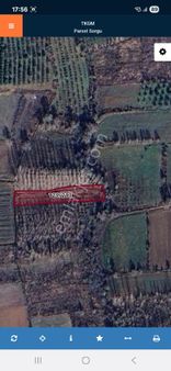 Isparta Aksu Yılanlı