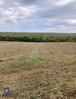 Ömer Ocak'dan Bafra Keliklerde Satılık Tarla