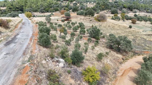 Muğla Menteşe Zeytinköyde 2073m² Satılık Tarla