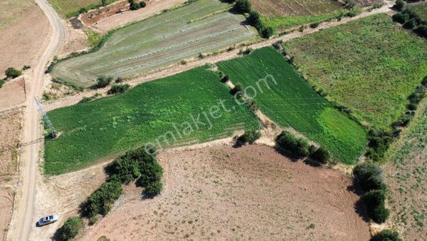 Century21 Net'ten Beyağaç'ta 4900 M2 Sulak Arazi