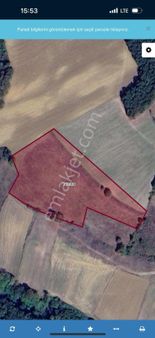 İzmit Yenice'de Geniş Yatırımlık Satılık Arazi