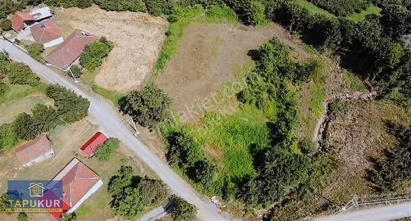 Sakarya Hendek Yeşilvadi Mh. 6426 M2 Satılık Tarla Tapukur' Dan