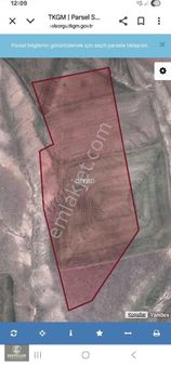 Hg-134 Türkmentokat Ankara Anayola 4 Km Mesafede Tarla