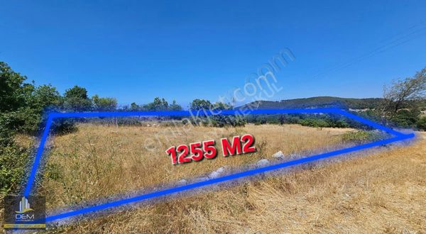 Balıkesir Dursunbey Çatalçamda 1255 M2 Tek Tapu Köye Yakın Tarla