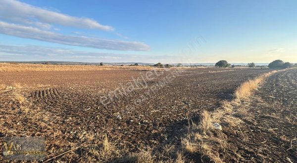 Vize Çakıllı/cumhuriyet Mahallesinde 746m2 Tek Tapu Tarla