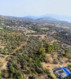 Antalya Kaş Kalkan Üzumlu'da Zeytinlerin Arasında Eşsiz Arsa