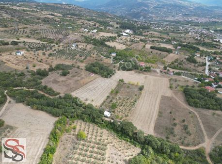 Pamukova Bayırakçeşehir Mahallesi 4.038 M² Tarla