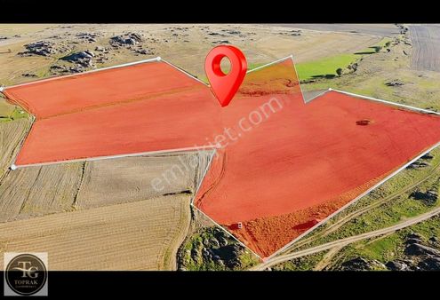 Kırklareli Merkez Kayalı Köyünde Satılık 70 Dönüm Fırsat Arazi