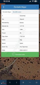 Toki Asfaltına 800 Mt Yatırımlık Bahçe