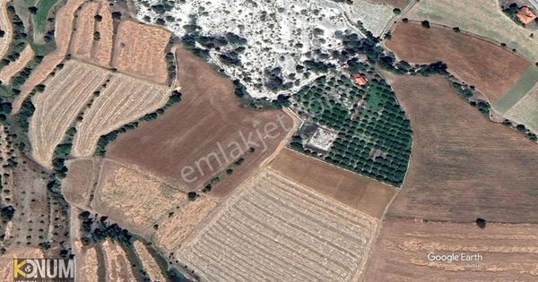 Çamelinin En Ucuz Tarlası Acil Satılık 4000 M2 Gökçeyaka