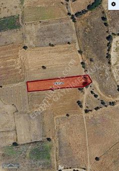 Satılık Fırsat Tarla