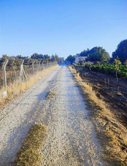Karaköprü Hamurkesen Köyü Satılık 2 Dönüm