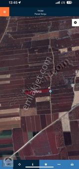 Evlik Zeytin Fıstık Bahçesi