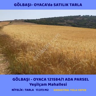 Ankara Gölbaşı Oyaca'da Satılık 17.373 M² Tarla