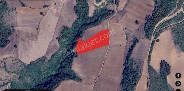 Roma’ Dan Alaylı Mahallesi’ Nde Satılık Tarla