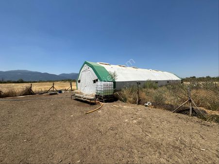 A-k Emlaktan Adzıda 3250 M2 Çadır Besihaneli Satılık Tarla