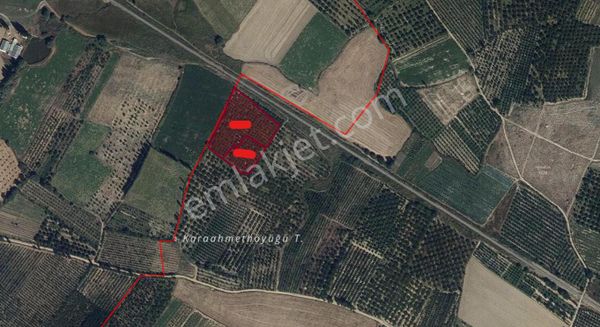 A-k Emlaktan Toplam 2 Parça 9658 M2 Tren Yolun Sıfır Kirazlık