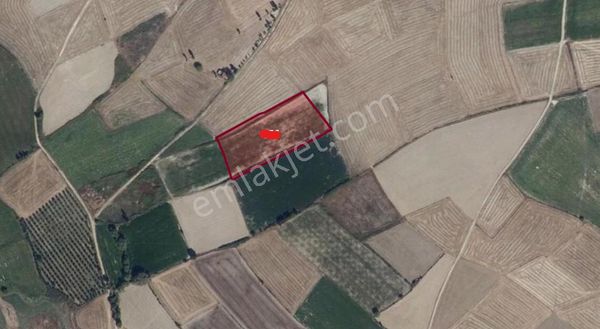 A-k Emlaktan Alanyurtta 8450 M2 Satılık Tarla