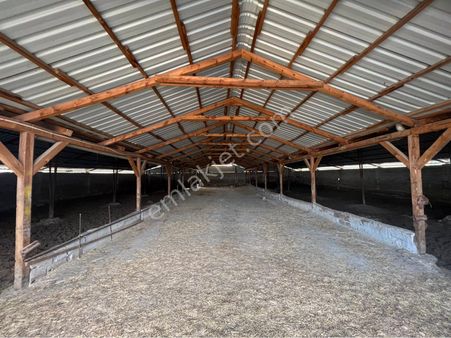 A-k Emlaktan Karabulutta Toplam 2000 M2 Yaklaşık 700 M2 Kapalı Alanı Olan Çiftlik