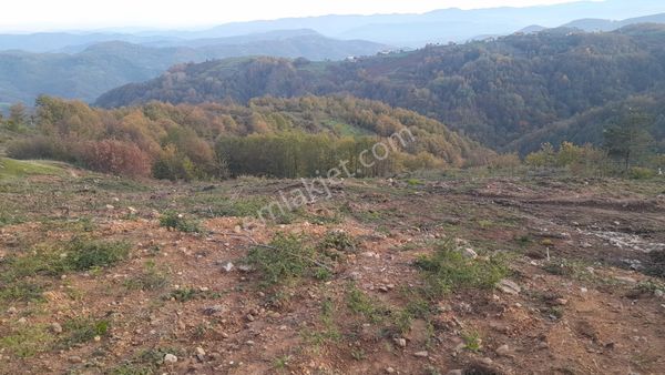 Zonguldak Kozlu Dağköy Köyü Satılık 6446 M² Tarla Vasıflı Arazi