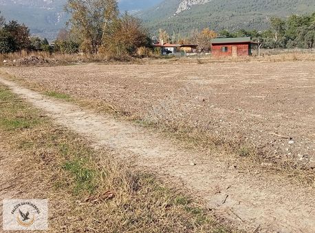 Falcon Dan Cayan Da 11000m² Muhteşem Tarla