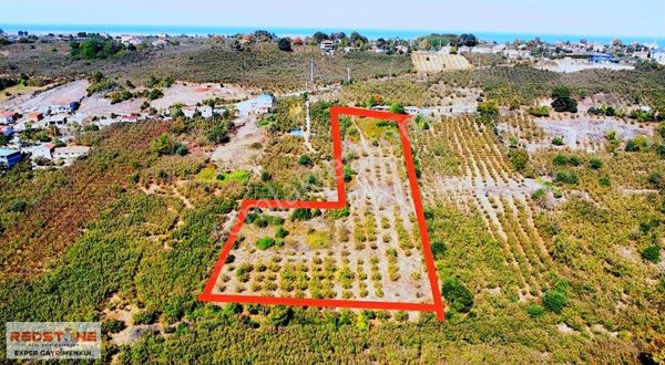 Karasu Kuzuluk'ta Ev Yapımına Uygun İmara Yakın Fındık Bahçesi