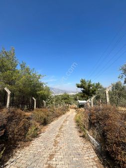 Artenew Emlak'tan Kemalpaşa Armutlu Hürriyet Mahallesi Satılık 1950m² Arsa