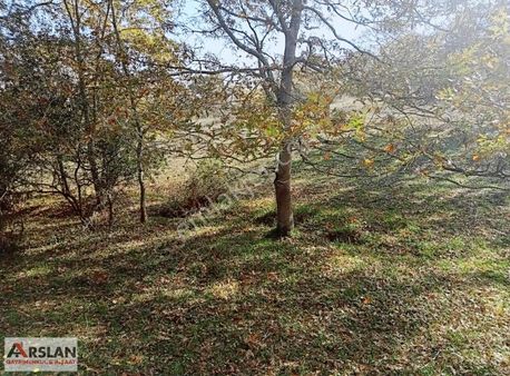 Kocaeli Kandıra Balcı Köyünde Toplulaştırmada 665 M2