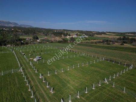 Karaisali Merkezde Ana Yol Uzeri Satilik Hobi Bahçeleri