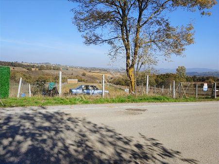 Kandıra Kırkarmut Da 6932 M2 Verimli Tarım Arazisi